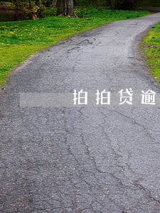 拍拍贷逾期13天有什么影响 拍拍贷逾期13天有什么影响
