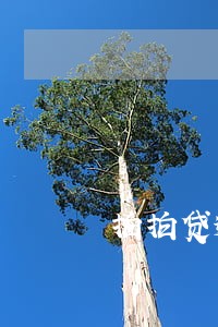 拍拍贷逾期1400会上门吗 拍拍贷逾期1400会上门吗