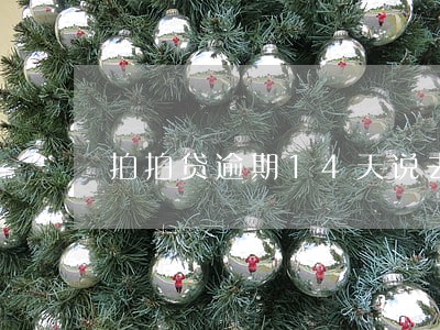 拍拍贷逾期14天说去我家里