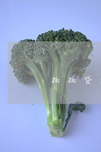 拍拍贷逾期15 拍拍贷逾期15
