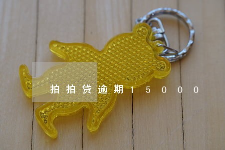 拍拍贷逾期15000