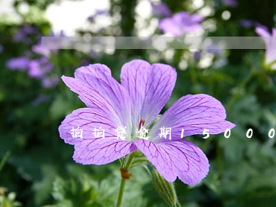 拍拍贷逾期15000元
