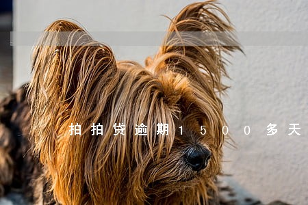 拍拍贷逾期1500多天了 拍拍贷逾期1500多天了