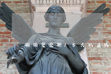 拍拍贷逾期15天以后收回概率