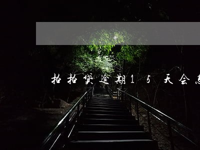 拍拍贷逾期15天会怎么样 拍拍贷逾期15天会怎么样