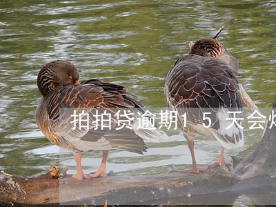拍拍贷逾期15天会爆电话吗