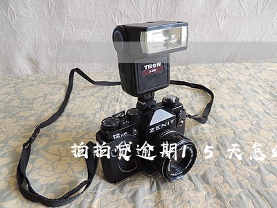 拍拍贷逾期15天怎么样 拍拍贷逾期15天怎么样