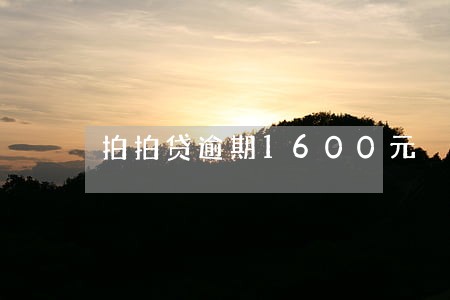 拍拍贷逾期1600元 拍拍贷逾期1600元