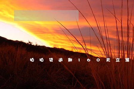 拍拍贷逾期160天立案通知 拍拍贷逾期160天立案通知