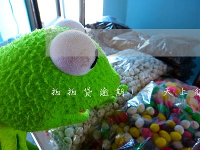 拍拍贷逾期16天上征信吗 拍拍贷逾期16天上征信吗