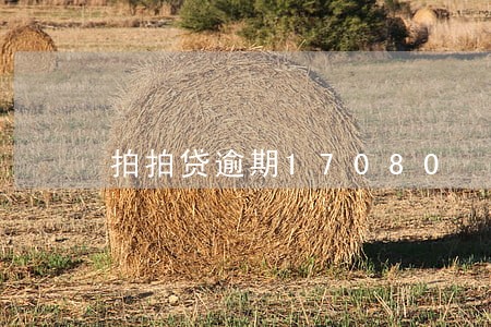 拍拍贷逾期17080 拍拍贷逾期17080