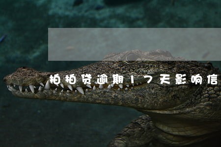 拍拍贷逾期17天影响信用吗 拍拍贷逾期17天影响信用吗