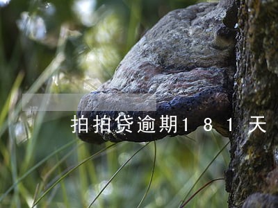 拍拍贷逾期181天 拍拍贷逾期181天