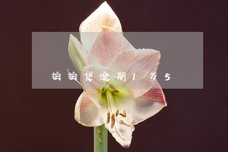 拍拍贷逾期1万5 拍拍贷逾期1万5