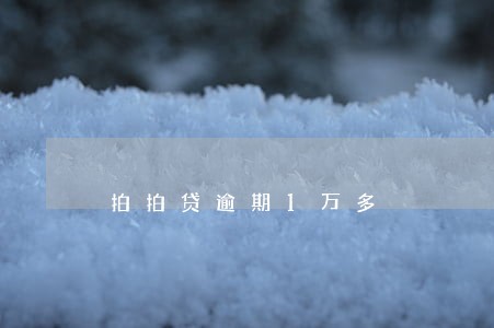拍拍贷逾期1万多 拍拍贷逾期1万多