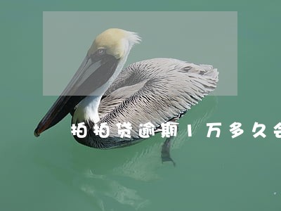 拍拍贷逾期1万多久会上门收 拍拍贷逾期1万多久会上门收