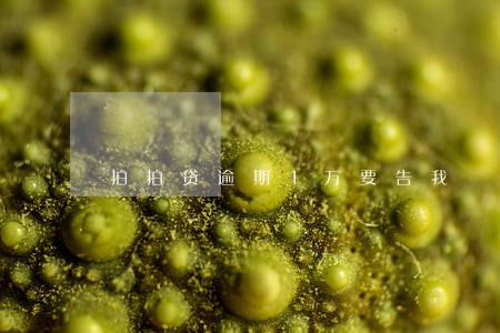 拍拍贷逾期1万要告我 拍拍贷逾期1万要告我