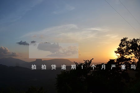 拍拍贷逾期1个月严重吗 拍拍贷逾期1个月严重吗