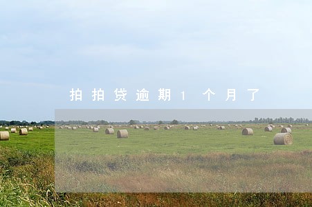 拍拍贷逾期1个月了 拍拍贷逾期1个月了