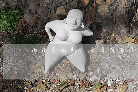 拍拍贷逾期1个月有事没 拍拍贷逾期1个月有事没