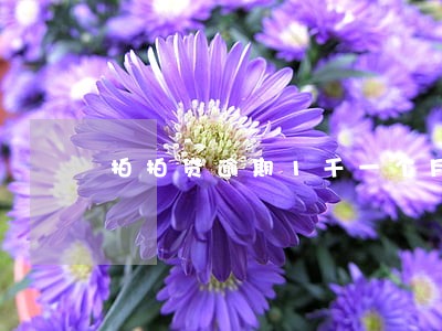 拍拍贷逾期1千一个月 拍拍贷逾期1千一个月