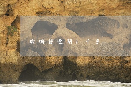 拍拍贷逾期1千多 拍拍贷逾期1千多