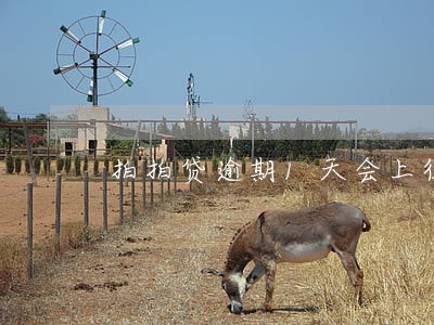 拍拍贷逾期1天会上征信么 拍拍贷逾期1天会上征信么