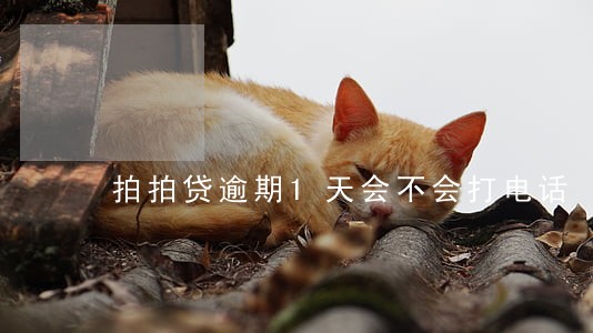 拍拍贷逾期1天会不会打电话 拍拍贷逾期1天会不会打电话