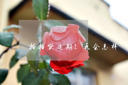 拍拍贷逾期1天会怎样 拍拍贷逾期1天会怎样