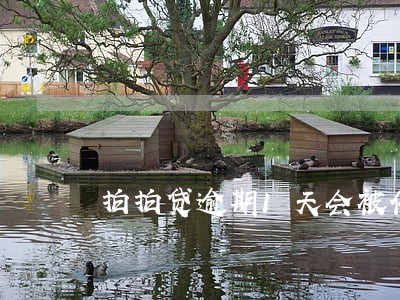 拍拍贷逾期1天会被催收吗 拍拍贷逾期1天会被催收吗