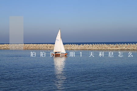拍拍贷逾期1天利息怎么算 拍拍贷逾期1天利息怎么算