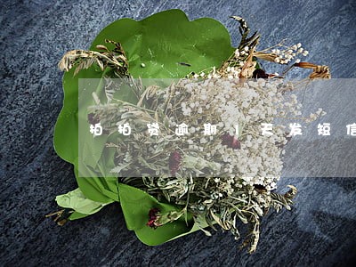 拍拍贷逾期1天发短信 拍拍贷逾期1天发短信