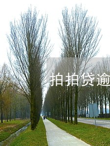 拍拍贷逾期1天在借被拒 拍拍贷逾期1天在借被拒