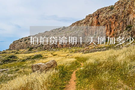 拍拍贷逾期1天增加多少利息 拍拍贷逾期1天增加多少利息
