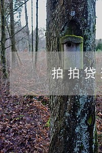 拍拍贷逾期1天就催收了 拍拍贷逾期1天就催收了