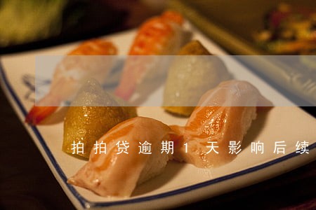 拍拍贷逾期1天影响后续借款吗 拍拍贷逾期1天影响后续借款吗