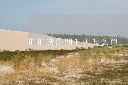 拍拍贷逾期1天怎么算 拍拍贷逾期1天怎么算