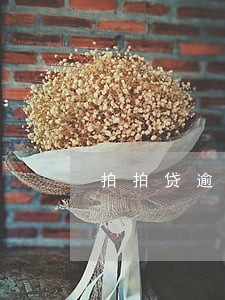 拍拍贷逾期1天怎么还款 拍拍贷逾期1天怎么还款