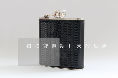 拍拍贷逾期1天的后果 拍拍贷逾期1天的后果
