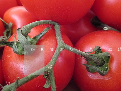 拍拍贷逾期1天还能借吗 拍拍贷逾期1天还能借吗