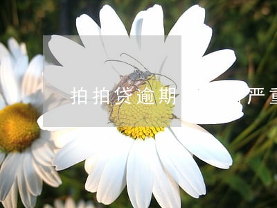 拍拍贷逾期1小时严重吗 拍拍贷逾期1小时严重吗