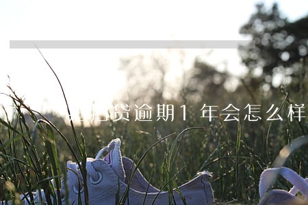 拍拍贷逾期1年会怎么样 拍拍贷逾期1年会怎么样