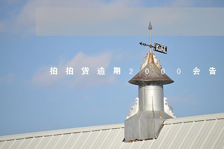 拍拍贷逾期2000会告法庭吗 拍拍贷逾期2000会告法庭吗