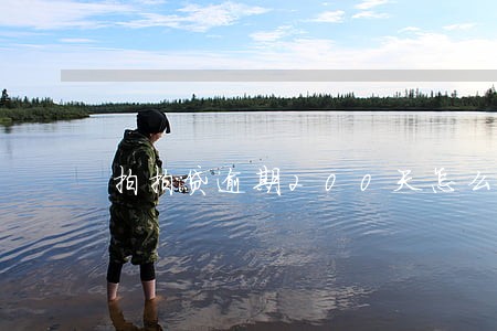 拍拍贷逾期200天怎么算