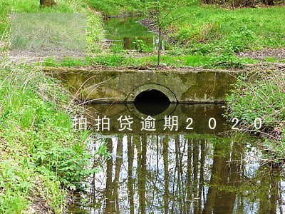 拍拍贷逾期2020