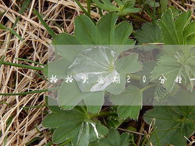 拍拍贷逾期20分钟一个电话 拍拍贷逾期20分钟一个电话