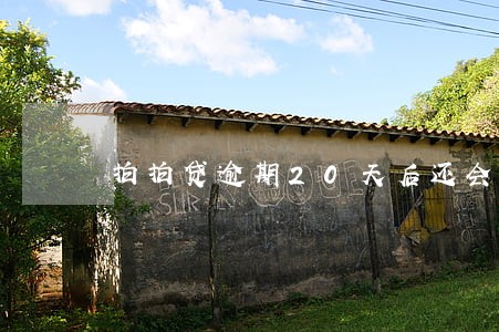 拍拍贷逾期20天后还会怎么样 拍拍贷逾期20天后还会怎么样