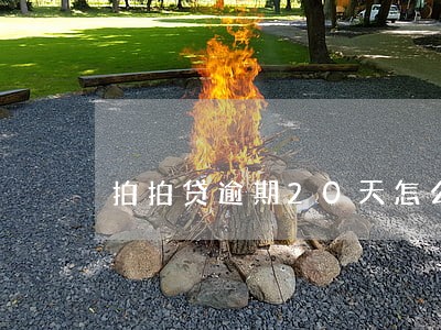 拍拍贷逾期20天怎么还款