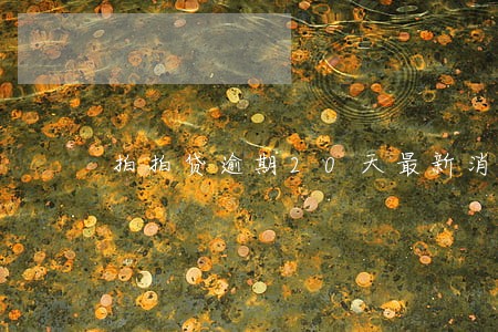 拍拍贷逾期20天最新消息 拍拍贷逾期20天最新消息