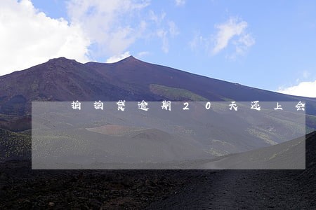 拍拍贷逾期20天还上会怎么样 拍拍贷逾期20天还上会怎么样